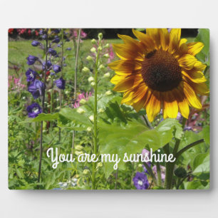 You Are My Sunshine Plaque