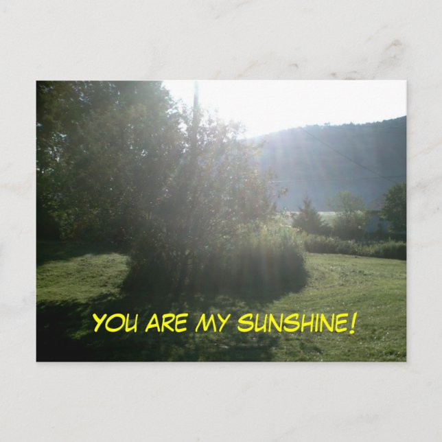 YOU ARE MY SUNSHINE postcard (Front)