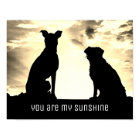 you are my sunshine quote poster with dogs