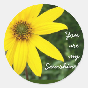 'You are my Sunshine!' Stickers