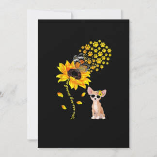 You Are My Sunshine Sunflower Chihuahua Men Women Announcement
