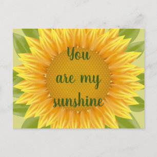 You are my Sunshine Sunflower Flower Quote art Postcard