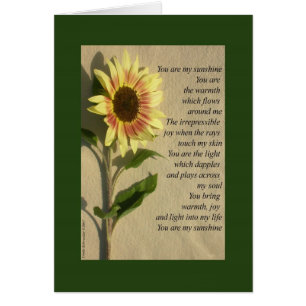 You Are My Sunshine verse