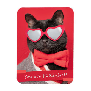 You are PURR-fect Cute Cat Magnet