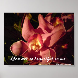 You are so beautiful to me. poster