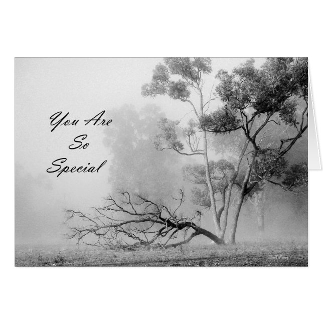 You are so special (Front Horizontal)