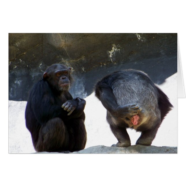 You are so wrong_ Card_by Elenne Boothe (Front Horizontal)