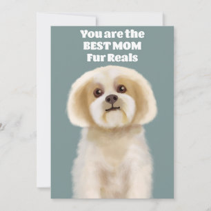 You are the best MOM Holiday Card