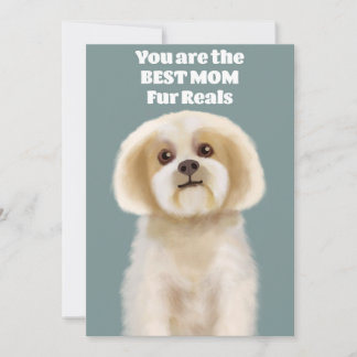 You are the best MOM Holiday Card