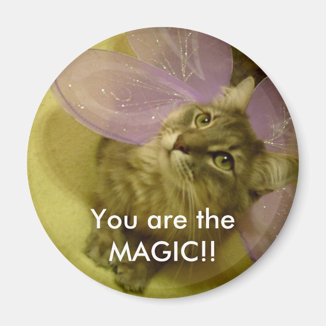 You are the MAGIC!! magnet (Front)
