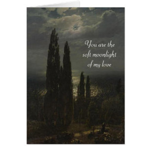 You are the soft moonlight of my love