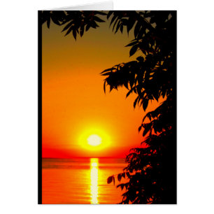 You Are The Sunshine Of My Life!