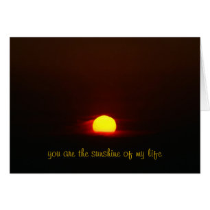 you are the sunshine of my life