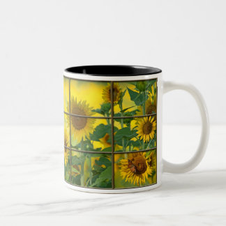 You are the sunshine of my life Two-Tone coffee mug