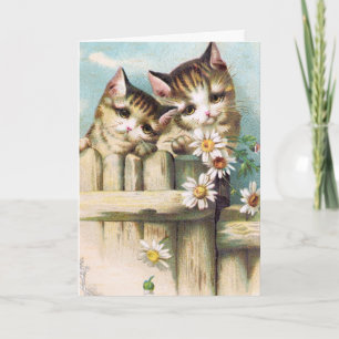 You are the Sunshine of my tomorrows greeting card