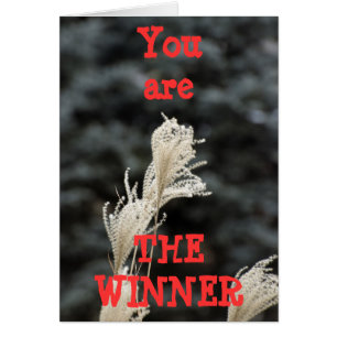 You are THE WINNER