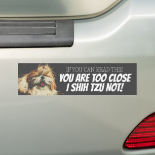 You are too close I shih tzu not  Bumper Sticker