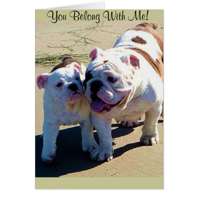 You Belong With Me! (Front)