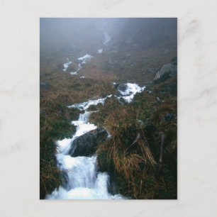 YOU, BELOVED POSTCARD