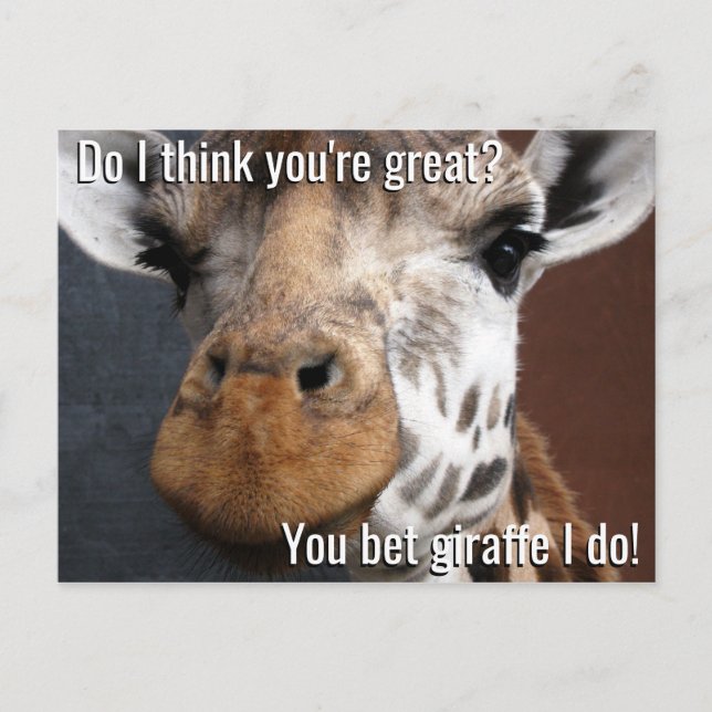 You Bet Giraffe Encouragement Postcard (Front)