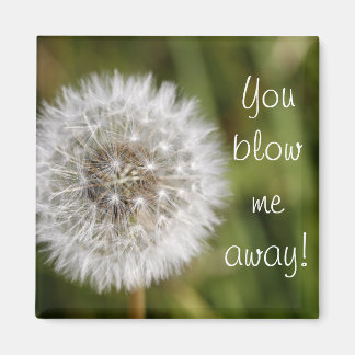 You blow me away! magnet