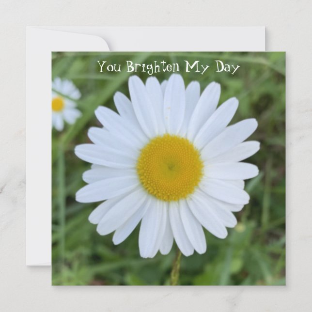 You Brighten My Day Daisy Thank You Card (Front)