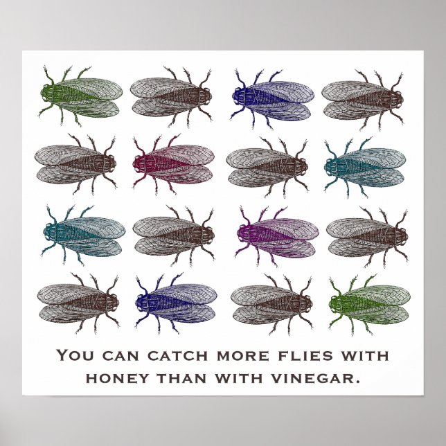 You can catch more flies with honey than vinegar poster (Front)