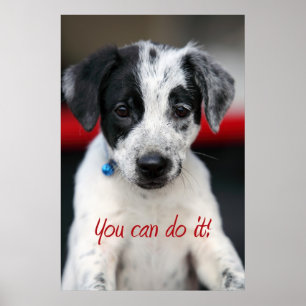 You can do it! poster