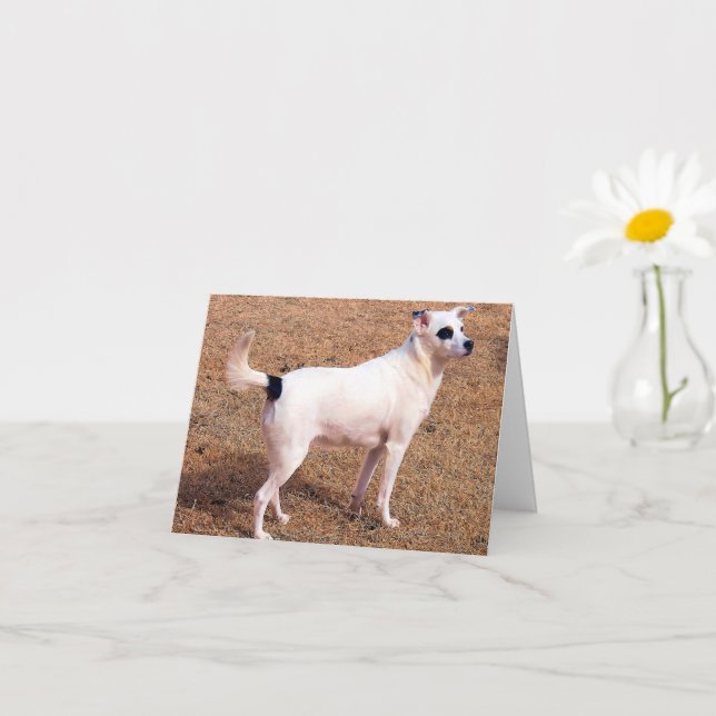 You Can Do This! - Stand Tall Card (Small Plant)