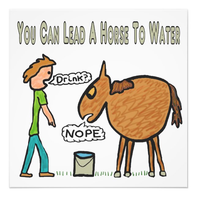 You Can Lead A Horse To Water Photo Print (Front)