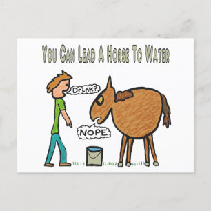 You Can Lead A Horse To Water Postcard