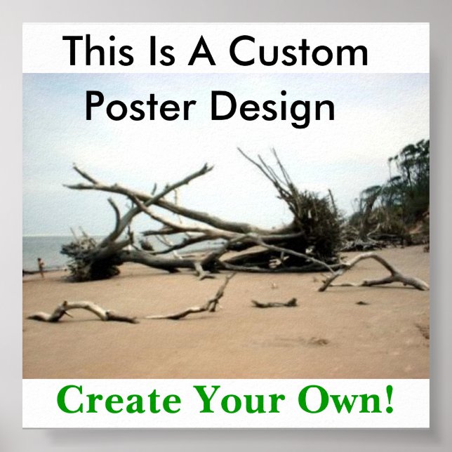 You Can Make Your Own Poster! Poster (Front)