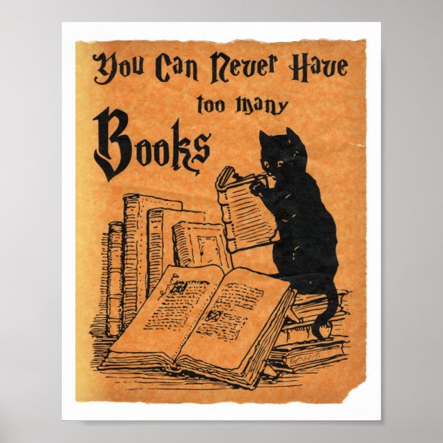 You Can Never Have Too Many Books Cat Poster (Front)