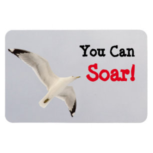 You Can Soar! Magnet