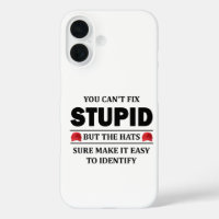 You Can’t Fix Stupid
