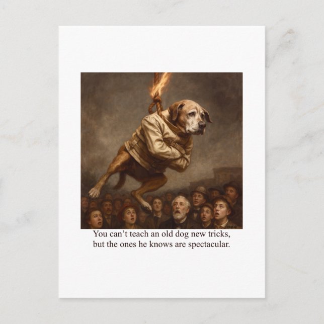 You can’t teach an old dog new tricks postcard (Front)