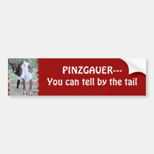 You can tell bumpersticker-customise bumper sticker