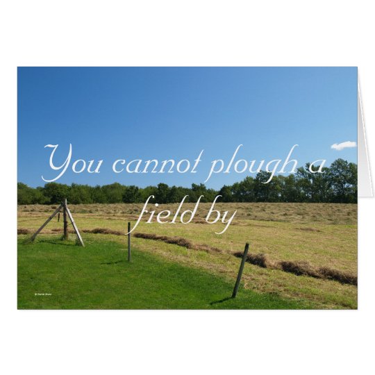 You cannot plou... card