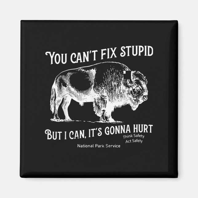You Can't Fix Stud But I Can It's Gonna Hurt Think Magnet (Front)