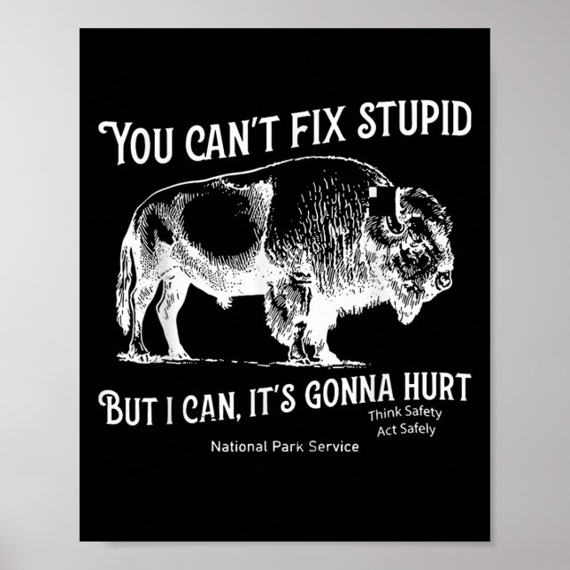 You Can't Fix Stud But I Can It's Gonna Hurt Think Poster (Front)