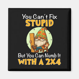 You Can't Fix Stud But You Can Numb It With A 2x4  Magnet