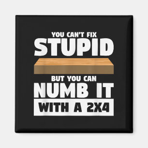 You Can't Fix Stud But You Can Numb It With A 2x4  Magnet