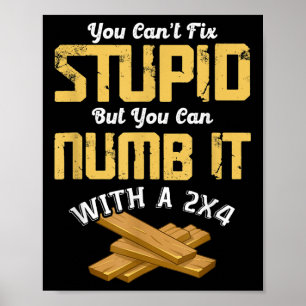 You Can't Fix Stud But You Can Numb It With A 2x4  Poster