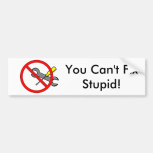 "You can't fix Stupid!" Bumper Sticker