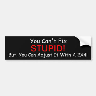 You Can't Fix Stupid. But, You Can Bumper sticker