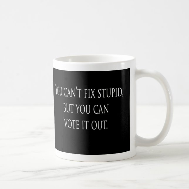 You can't fix stupid but you can vote it out Mug (Right)