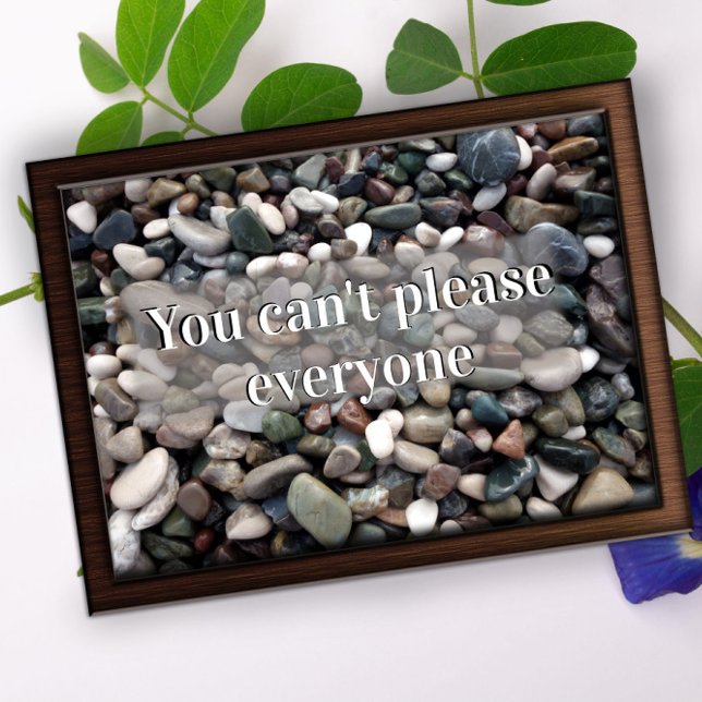 You can't please everyone motivational  poster  (Creator Uploaded)