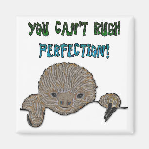You Can't Rush Perfection Baby Sloth Magnet