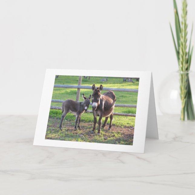 YOU DECIDE **NAUGHTY** OR **NICE** FOR CHRISTMAS HOLIDAY CARD (Front)