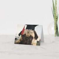 You Did It Funny Grad From the Dog